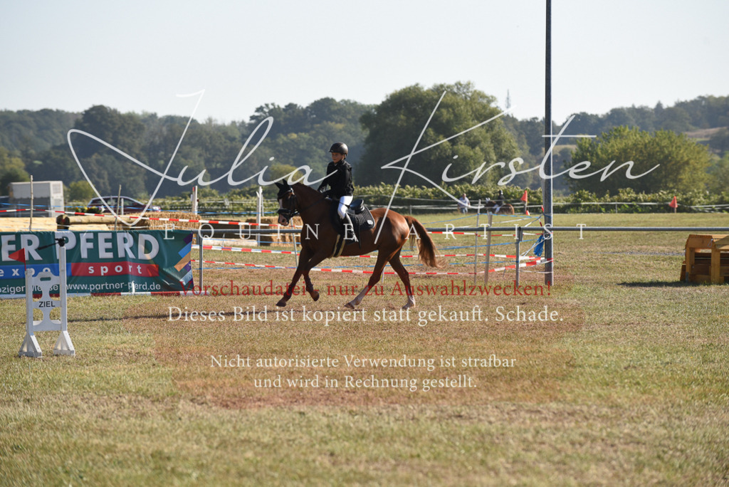 DSC_5688 | Pferde- und Turnierfotografie in Westsachsen. Pferdeportraits, Auftragszeichnungen und intuitive Kunst.