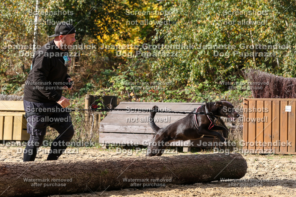 Dog Paparazzi - Strongdog 10-25-5151 | Dog Paparazzi Jeanette Grottendiek Fotografie & Videografie - Realisiert mit Pictrs.com