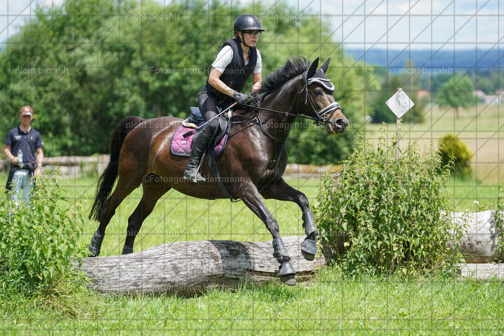 20240622-FAH07279 | Turnierfotografen Bayern, Reitsportbilder aus dem Geländekurs mit Felix Etzel auf dem Gut Waitzacker 2024
