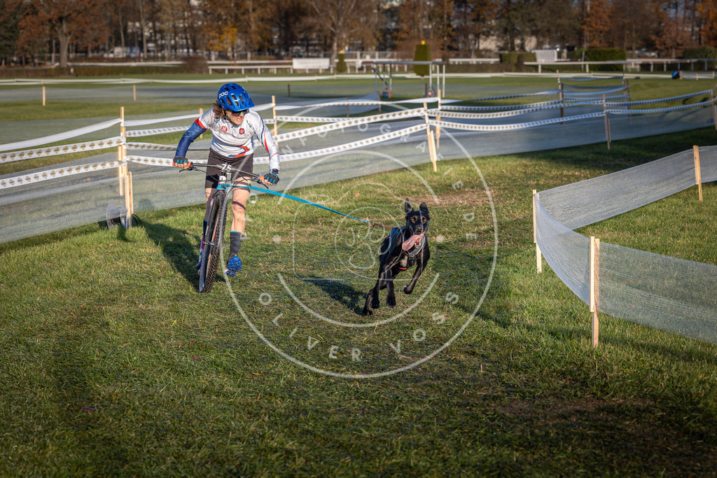CaniXpix_0L8A3608 | Hundefotografie, Tierfotograf, Pfotenfotografie, Fotoshooting Hund, Hunde Portrait, Hundesport, Hundeportraits, Heideshooting, Hunde, Sportfotograf, Hundefotograf, Turnierhundsport, THS,  - Realisiert mit Pictrs.com