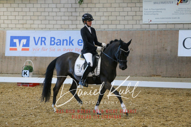 IMG_2795 | Turnierfotos kaufen im Webshop von Daniel Kuhl Photography – entdecke professionelle Reitsportfotos aus Turnieren & Events. Hochwertige Turnierbilder online bestellen & sichern. Jetzt Fotos von Reitsportturnieren kaufen!