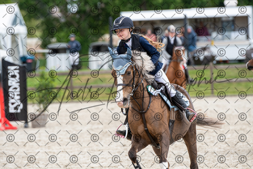 KPT_8128 | andre_photographic