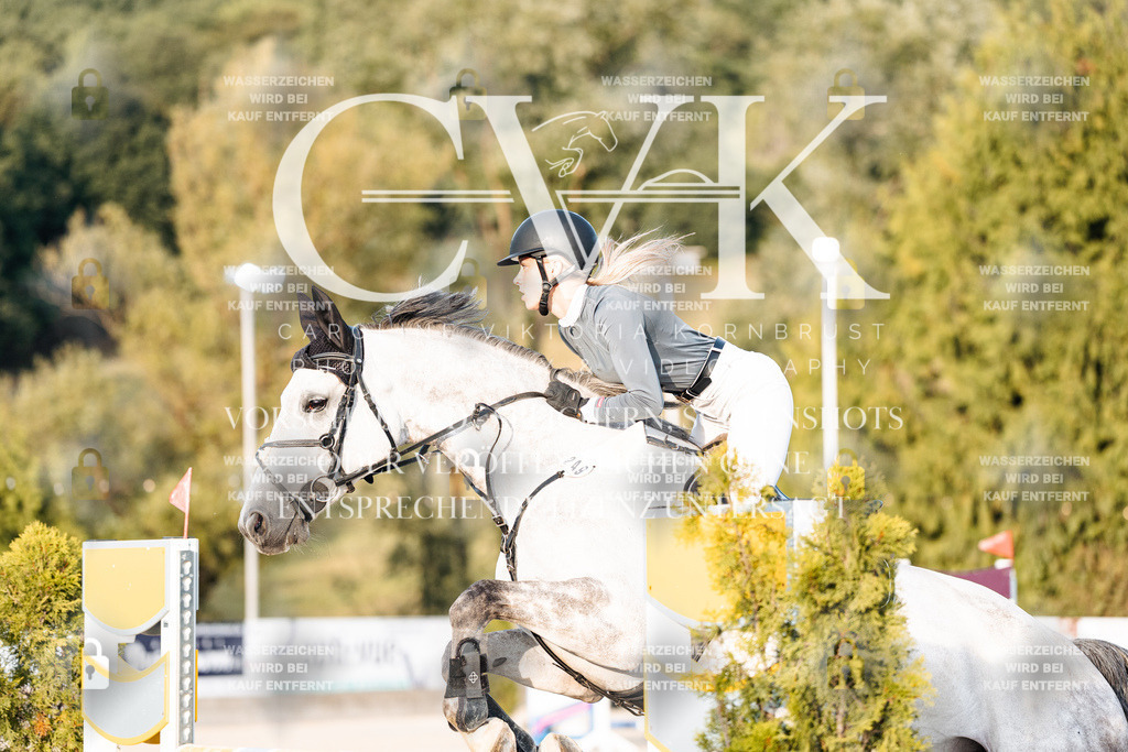 CK900914 | Turnierfotografie Pferdefotografie Trier Rheinland-Pfalz Pferdesport Reitsport Tierfotografie Sportfotografie Pferdevideo Pferdevideografie Equestrianvideography equestrianphotography  - Realisiert mit Pictrs.com