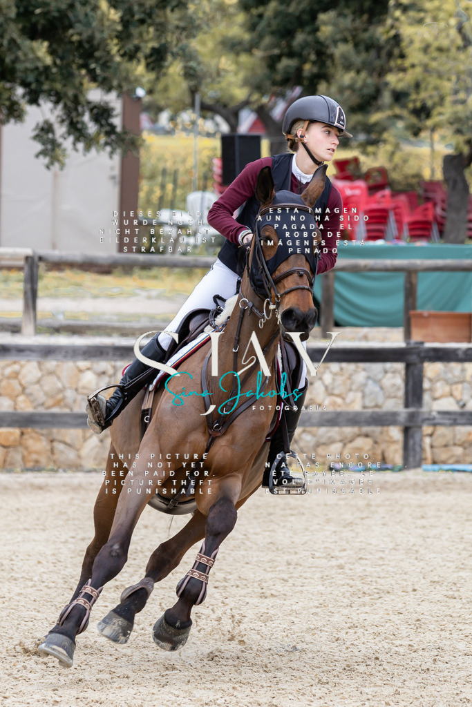 IMG_5038 | s-jay-photography - Realisiert mit Pictrs.com