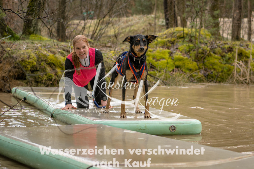 1311_ZZ94720 | kk-dogfotos
