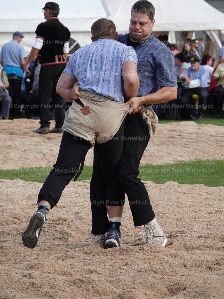 DSC05614 | Schwingen - Realisiert mit Pictrs.com
