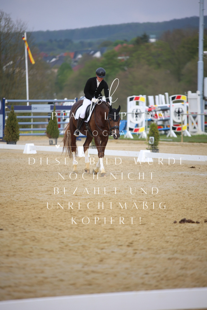 IMGT7847 | pl-fotografie