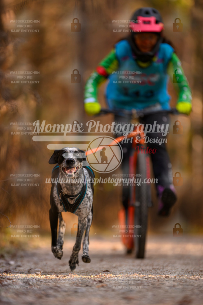 MompixPhotography_DM_AKDM_SO_2025_Scooter-210 | PayLife