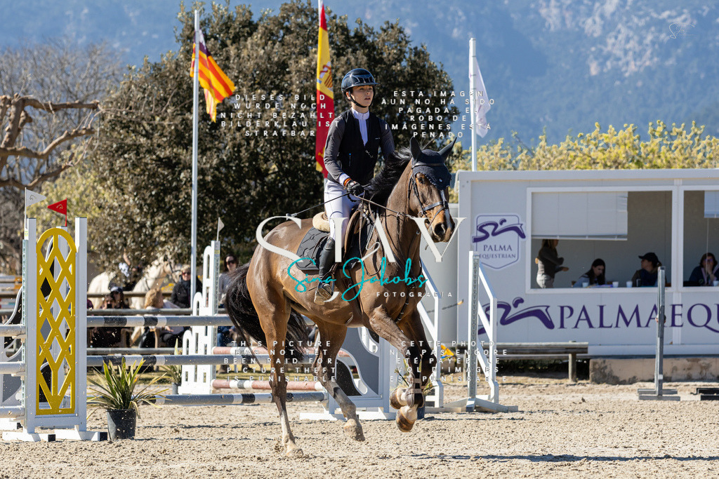 IMG_0693 | s-jay-photography - Realisiert mit Pictrs.com