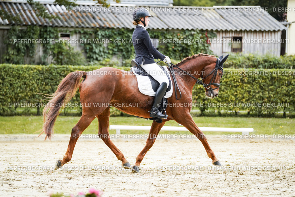 DSC07424 | Pferdegrafie