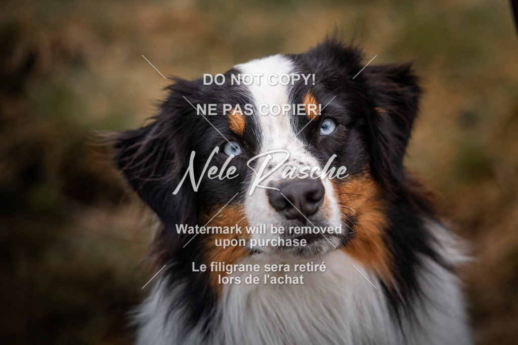 nelerasche_SoUnterwegs_238 | nelerasche
