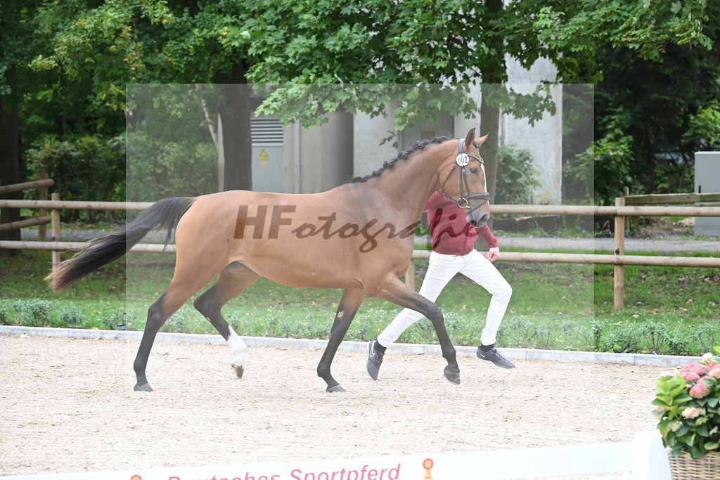 Kat-Nr. 2 Chacira P_Ballas_49220916 | hf-fotografie - Realizzato con Pictrs.com