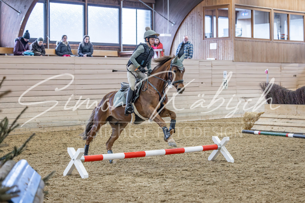 20260221-_3LI9574 | Tierfotografie Pferde, Hunde, Katzen, Haustiere.
Turnierfotografie Reitturniere, Reiten, Springreiten, Dressur in Hanau, dem Main-Kinzig-Kreis und dem Rhein-Main- Gebiet um Frankfurt