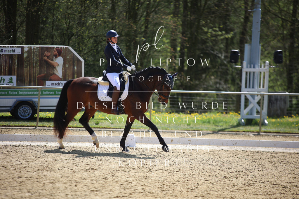 IMGT1810 | pl-fotografie