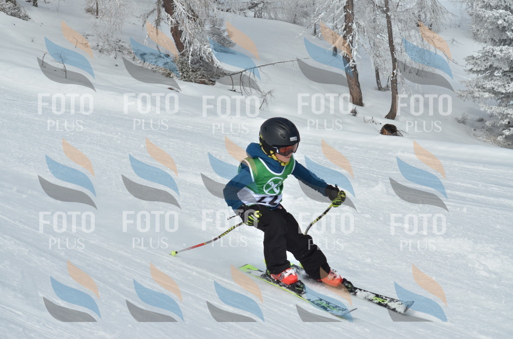 D8593 | holidayphoto