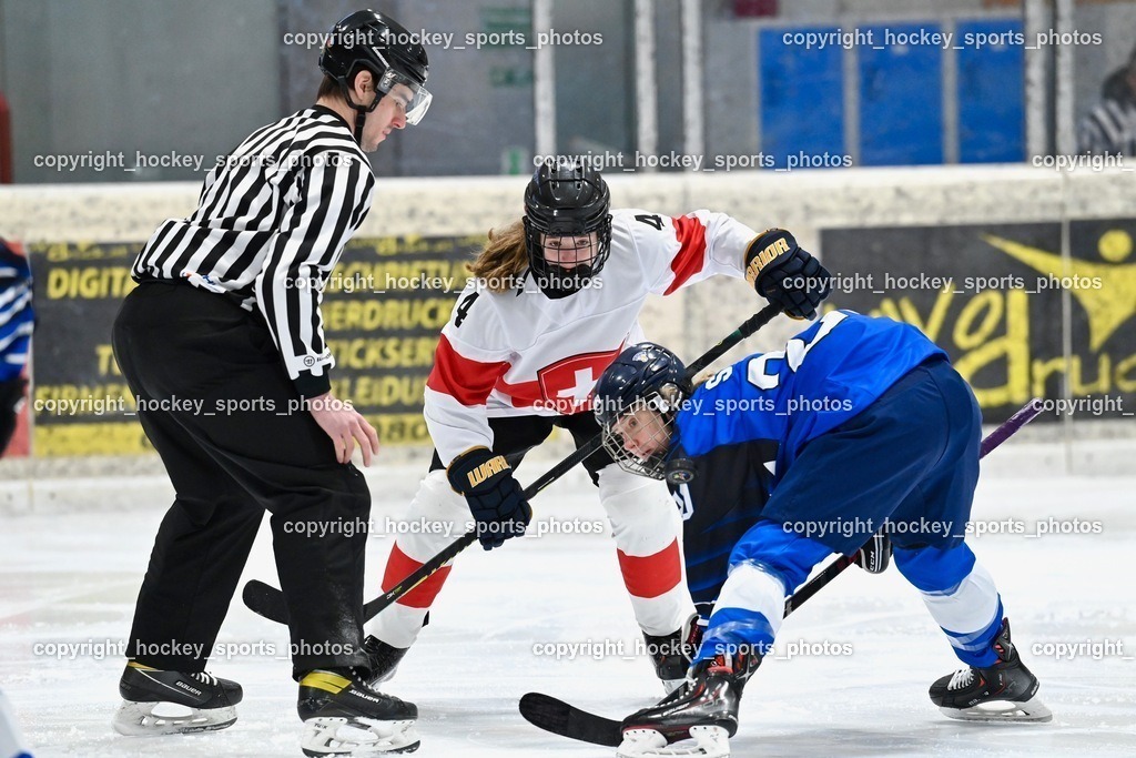 BST_3108 | hockey sports photos, Pressefotos, Sportfotos, hockey247, win 2day icehockeyleague, Handball Austria, Floorball Austria, ÖVV, Kärntner Eishockeyverband, KEHV, KFV, Kärntner Fussballverband, Österreichischer Volleyballverband, Alps Hockey League, ÖFB, 