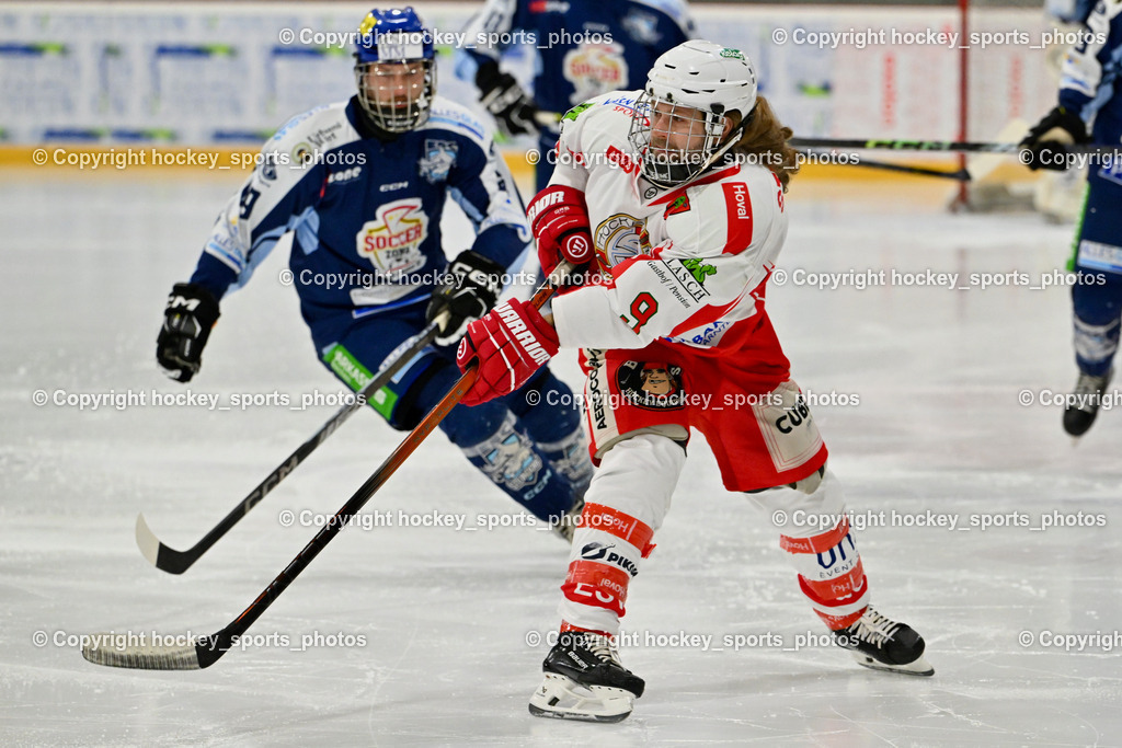 ESV FERLACH vs. ESC SOCCERZONE STEINDORF | #9 Steiner Markus ESV Ferlach, ESV FERLACH vs. ESC SOCCERZONE STEINDORF, ESV FERLACH vs. ESC SOCCERZONE STEINDORF am 22.11.2024 in Ferlach (Eishalle Ferlach ), Austria, (Photo by Bernd Stefan)