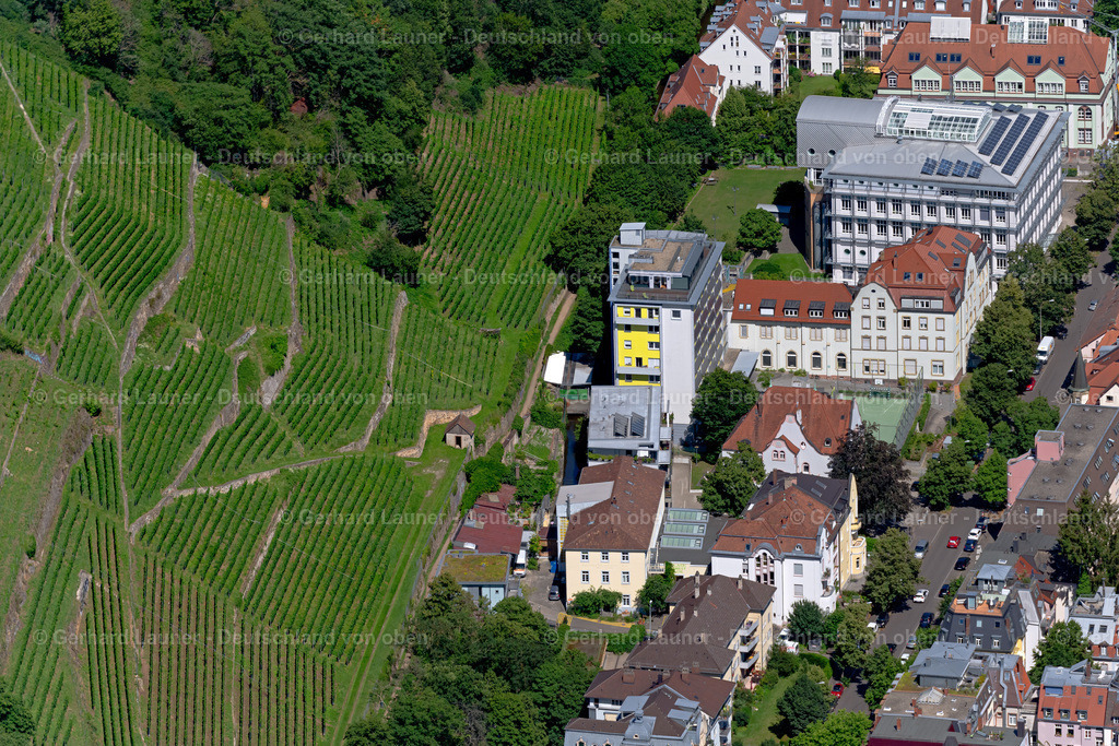 4033347 | FREIBURG IM BREISGAU 30.06.2020 Felder einer Weinbergs- und Rebstocks- Landschaft der Winzer- Gebiete im Ortsteil Oberau in Freiburg im Breisgau im Bundesland Baden-Württemberg, Deutschland. // Fields of wine cultivation landscape in the district Oberau in Freiburg im Breisgau in the state Baden-Wuerttemberg, Germany. Foto: Gerhard Launer