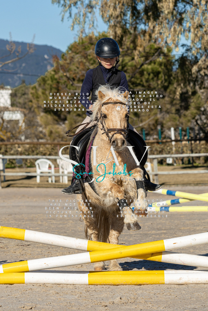 IMG_8005 | s-jay-photography - Realisiert mit Pictrs.com