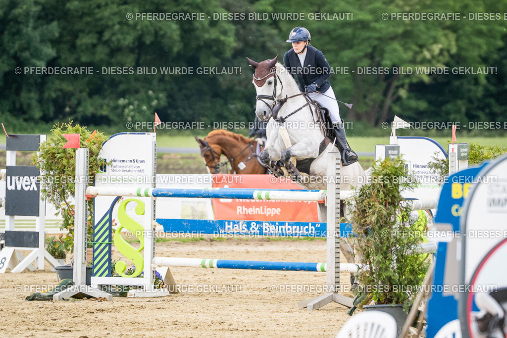 DSC06508 | Pferdegrafie