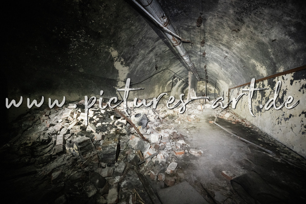 DSC02520 | pictures-art.de