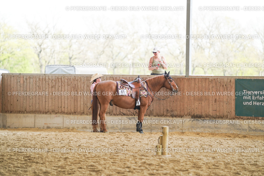 DSC02192 | Pferdegrafie