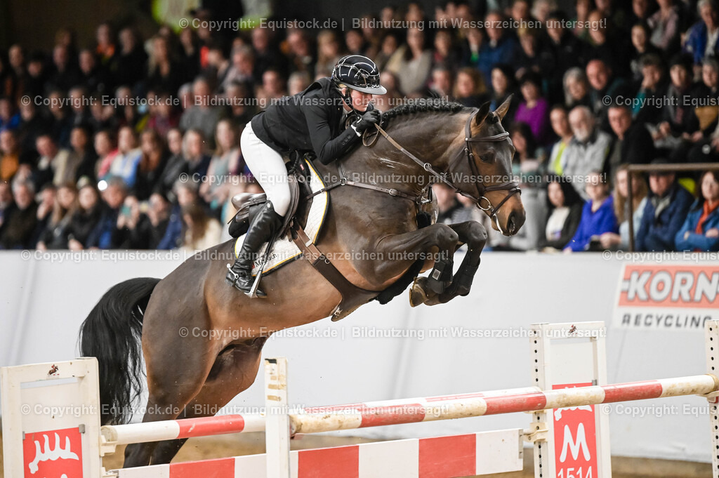 20260307_Hengstvorstellung-Marbach_0135 | equistock