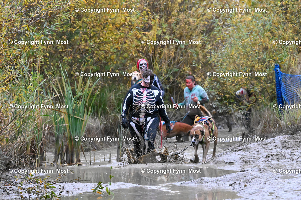 DSC_9307 | Hallo und herzlich Willkommen auf meiner Shop-Seite Fynn Most.

Ich wünsche Dir viel Spaß beim stöbern durch die Bilder, wenn Du Fragen hast oder Bilder vermisst, kannst du mir gerne eine Nachricht schreiben. - Realisiert mit Pictrs.com