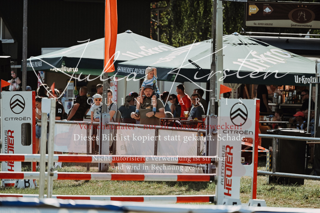 DSC_8831 | Pferde- und Turnierfotografie in Westsachsen. Pferdeportraits, Auftragszeichnungen und intuitive Kunst.