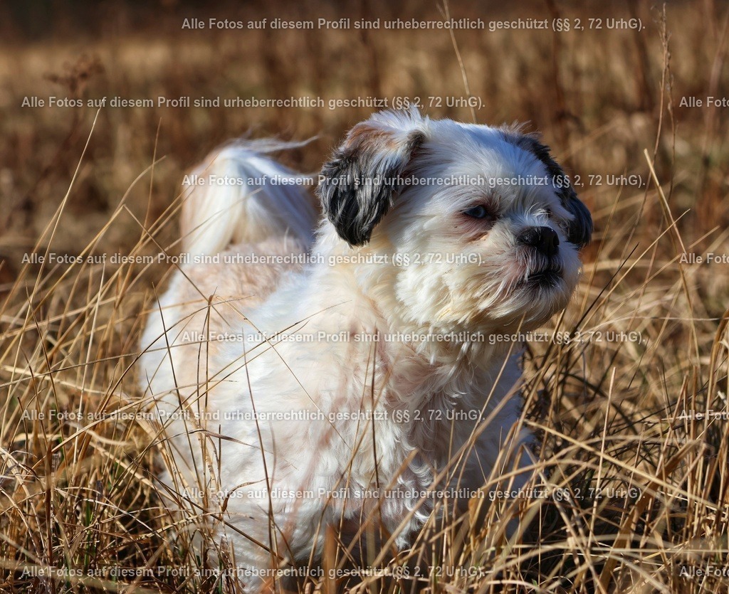 20240224101249_0C4A1866_2-01 | krollfotografie - Realized with Pictrs.com