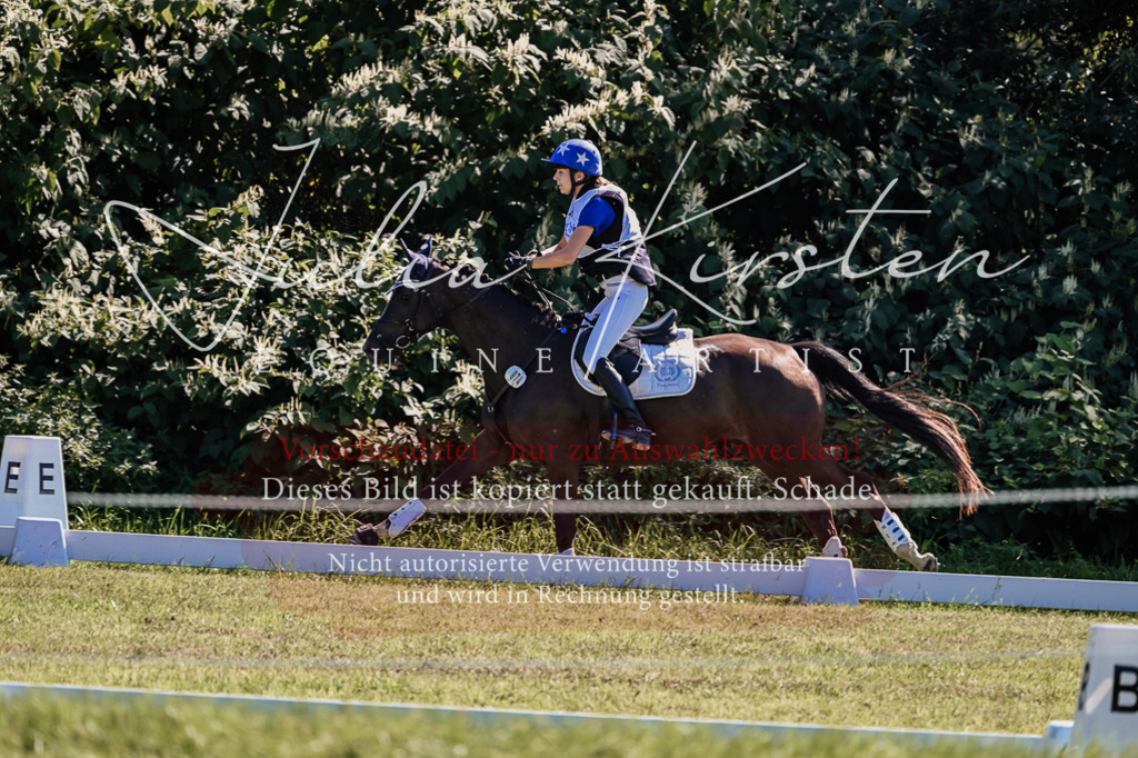 DSC_1672 | Pferde- und Turnierfotografie in Westsachsen. Pferdeportraits, Auftragszeichnungen und intuitive Kunst.