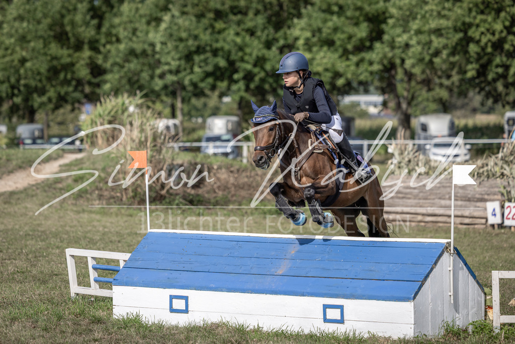 20250907-_3LI9503 | Tierfotografie Pferde, Hunde, Katzen, Haustiere.
Turnierfotografie Reitturniere, Reiten, Springreiten, Dressur in Hanau, dem Main-Kinzig-Kreis und dem Rhein-Main- Gebiet um Frankfurt