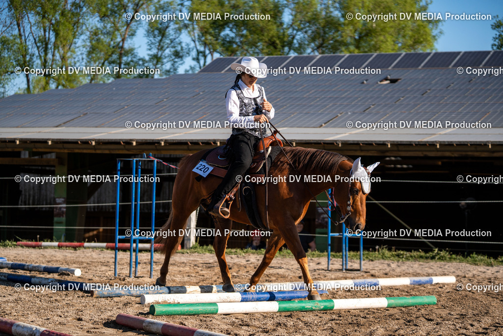 Balingen Tag 2-365 | dv-media-shop - Realisiert mit Pictrs.com