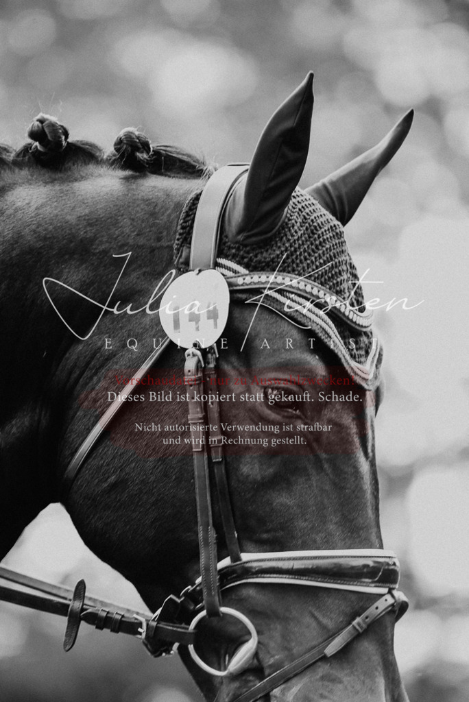 DSC_3752 | Pferde- und Turnierfotografie in Westsachsen. Pferdeportraits, Auftragszeichnungen und intuitive Kunst.