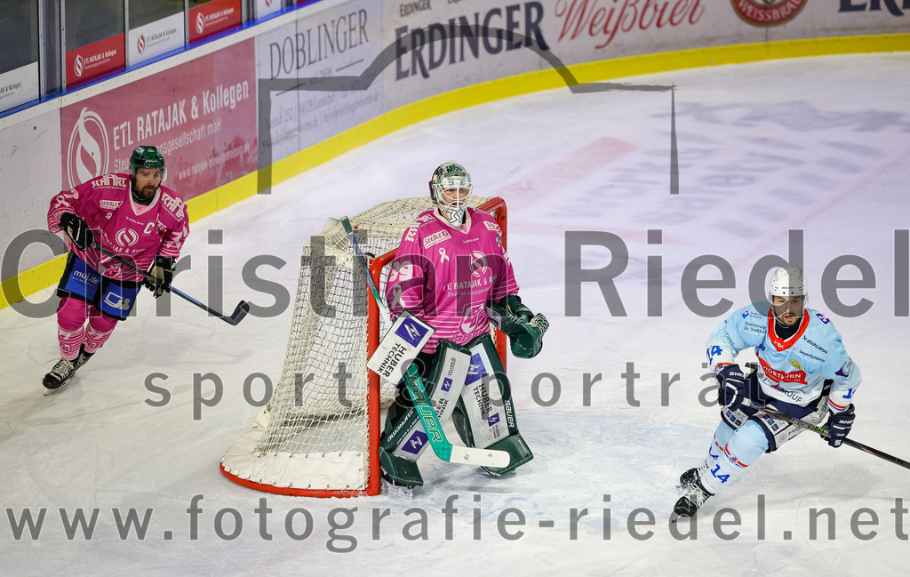 2025-10-05_077_TSV_Erding_gegen_Heilbronner_Falken | Erding, Deutschland, 05.10.2025:Eishockey, Oberliga Süd 2025 / 2026, 6. Spieltag, TSV Erding gegen Heilbronner Falken, Endergebnis: 3:1Philipp Michl (Erding Gladiators, #77), Torwart Leon Meder (Erding Gladiators, #39), Niklas Jentsch (Heilbronner Falken, #14)Foto: Christian Riedel / fotografie-riedel.net