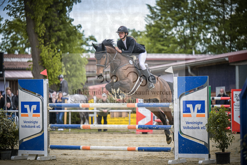 DOS_2283 | Entdecke hochwertige Reitturnierfotos von Foto Oger. Professionell, emotional und authentisch – jetzt Lieblingsmomente im Shop bestellen.Deutschlandweite Turnierfotografie. - Realisiert mit Pictrs.com