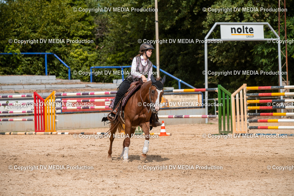 EWP_6064 | dv-media-shop - Realisiert mit Pictrs.com