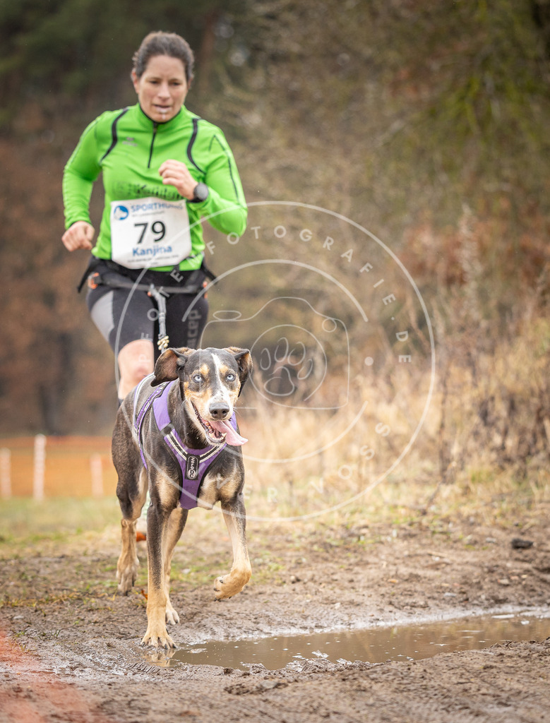 DV3A0328 | Hundefotografie, Tierfotograf, Pfotenfotografie, Fotoshooting Hund, Hunde Portrait, Hundesport, Hundeportraits, Heideshooting, Hunde, Sportfotograf, Hundefotograf, Turnierhundsport, THS,  - Realisiert mit Pictrs.com