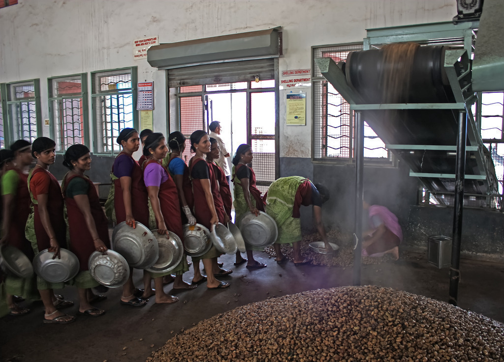 IMG_1186a | ansichtssache