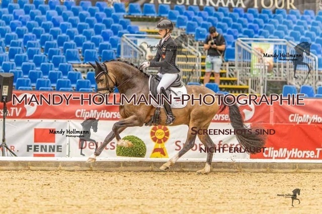28-8-26 5j DRE-1070 | mandyhollmannphotographie