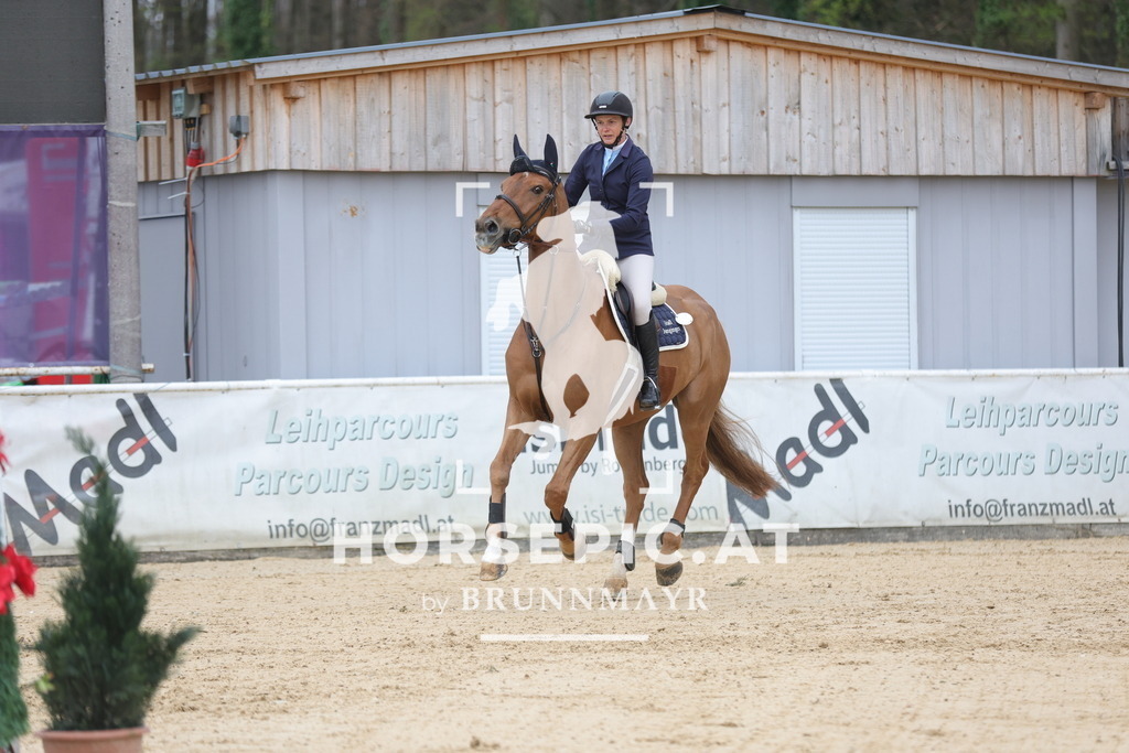 0P6A3839 | Willkommen bei Brunnmayr - Design & Fotografie – Ihrem Spezialisten für Reitturniere und Pferdeveranstaltungen in Oberösterreich, Salzburg und Bayern! Seit über 17 Jahren sind wir leidenschaftlich dabei.
