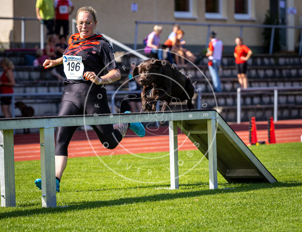 Pfotenfotografie_DV3A0796 | Hundefotografie, Tierfotograf, Pfotenfotografie, Fotoshooting Hund, Hunde Portrait, Hundesport, Hundeportraits, Heideshooting, Hunde, Sportfotograf, Hundefotograf, Turnierhundsport, THS,  - Realisiert mit Pictrs.com