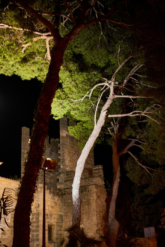 SN 54 | Ralph Driever - Fotograf - Realisiert mit Pictrs.com