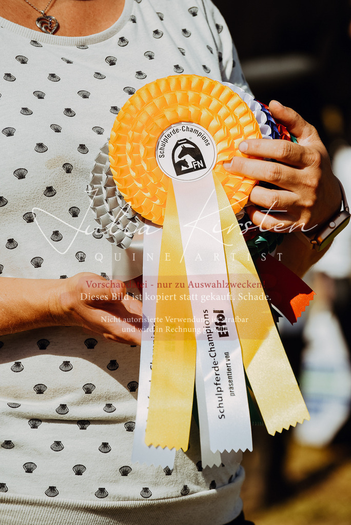 DSC_6382 | Pferde- und Turnierfotografie in Westsachsen. Pferdeportraits, Auftragszeichnungen und intuitive Kunst.