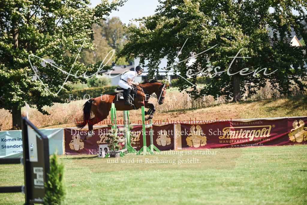 DSC_2765 | Pferde- und Turnierfotografie in Westsachsen. Pferdeportraits, Auftragszeichnungen und intuitive Kunst.