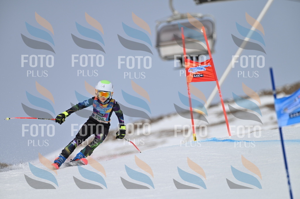 BGV_3738 | holidayphoto