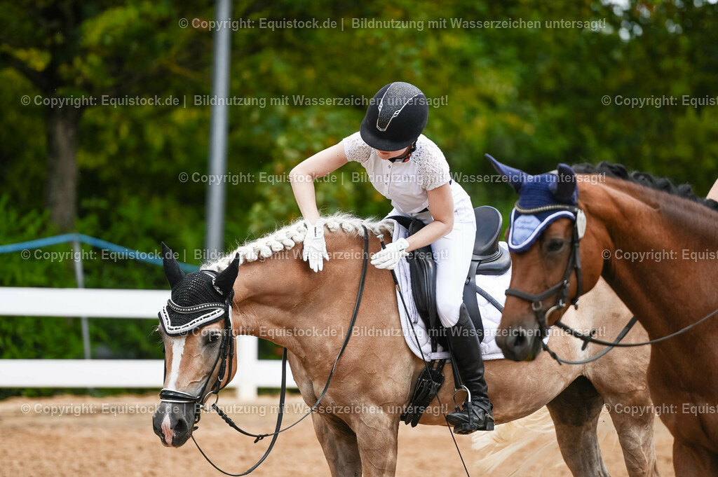 20230715_05_Dressurprüfung Kl.A++_0116 | equistock