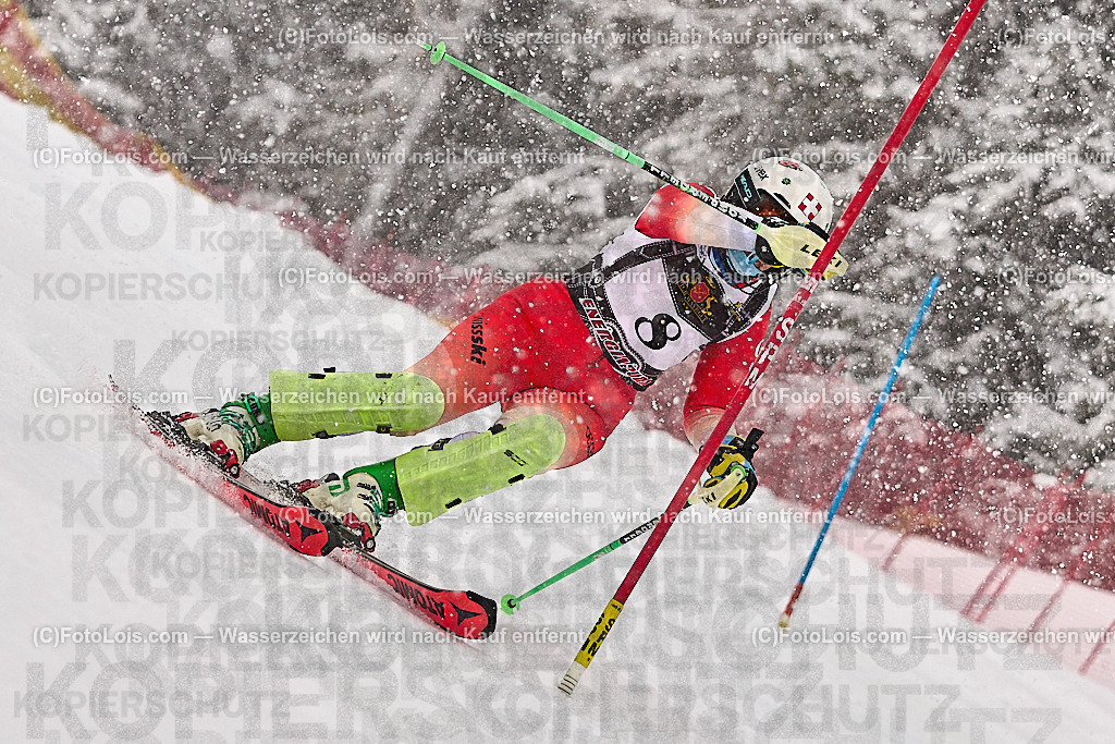 _ALP8110_MASTERS-WM_Reiteralm_CD_SL-I_SCHAERER Julia | FISWORLD CHAMPIONSHIPSMASTERS ALPINE SKIING, 23. – 28. MÄRZ 2026 - REITERALM | STMK | AUT.   Veranstaltet vom Masters-Referat des Deutschen Skiverbandes (DSV). Durchführende Organisation: WSV Pichl-Reiteralm, unterstütutzt von den Bergbahnen REITERALM bei Schladming und SKI AUSTRIA.                            Disziplinen:  Super-G, GiantSlalom, Slalom.                                                 Kategorien:  A (Herrn 30-59 Jahre), B (Herrn ab 60 Jahre), C (Damen 30-59 Jahre), D (Damen ab 60 Jahre).                Rennstrecken:   Gasselhöhe und Muldenliftpiste auf der Reiteralm.
