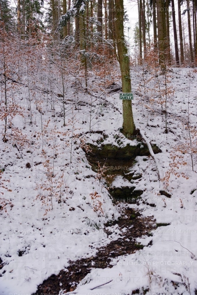 Winterimpressionen | Winterimpressionen Kaiserquelle Tautenhain - Realisiert mit Pictrs.com