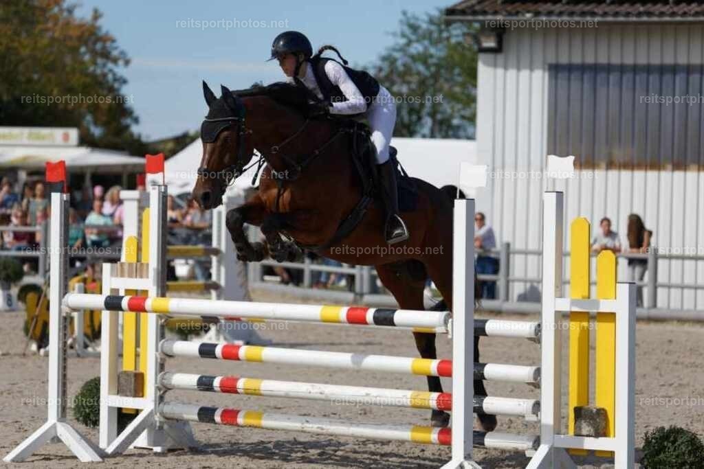 JoYaR3_Heidehof_01626 | JoYa Fotografie - Realisiert mit Pictrs.com